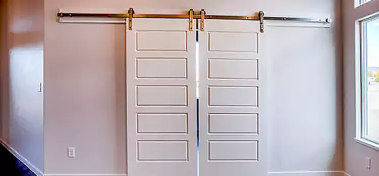 Glass Barn Door with Installation Hardware Kit Joliet