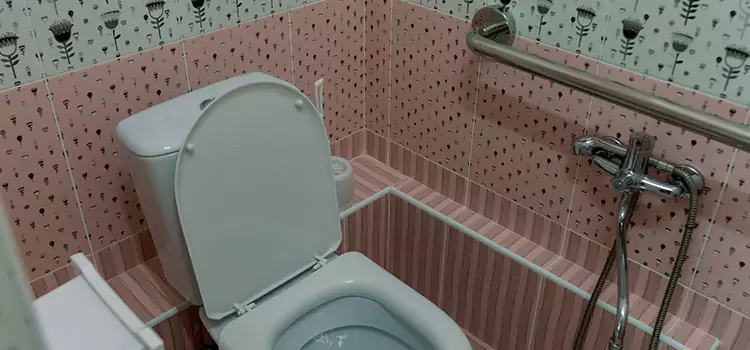 Meeting Diverse Needs With Accessible Restroom Solutions in Joliet, IL